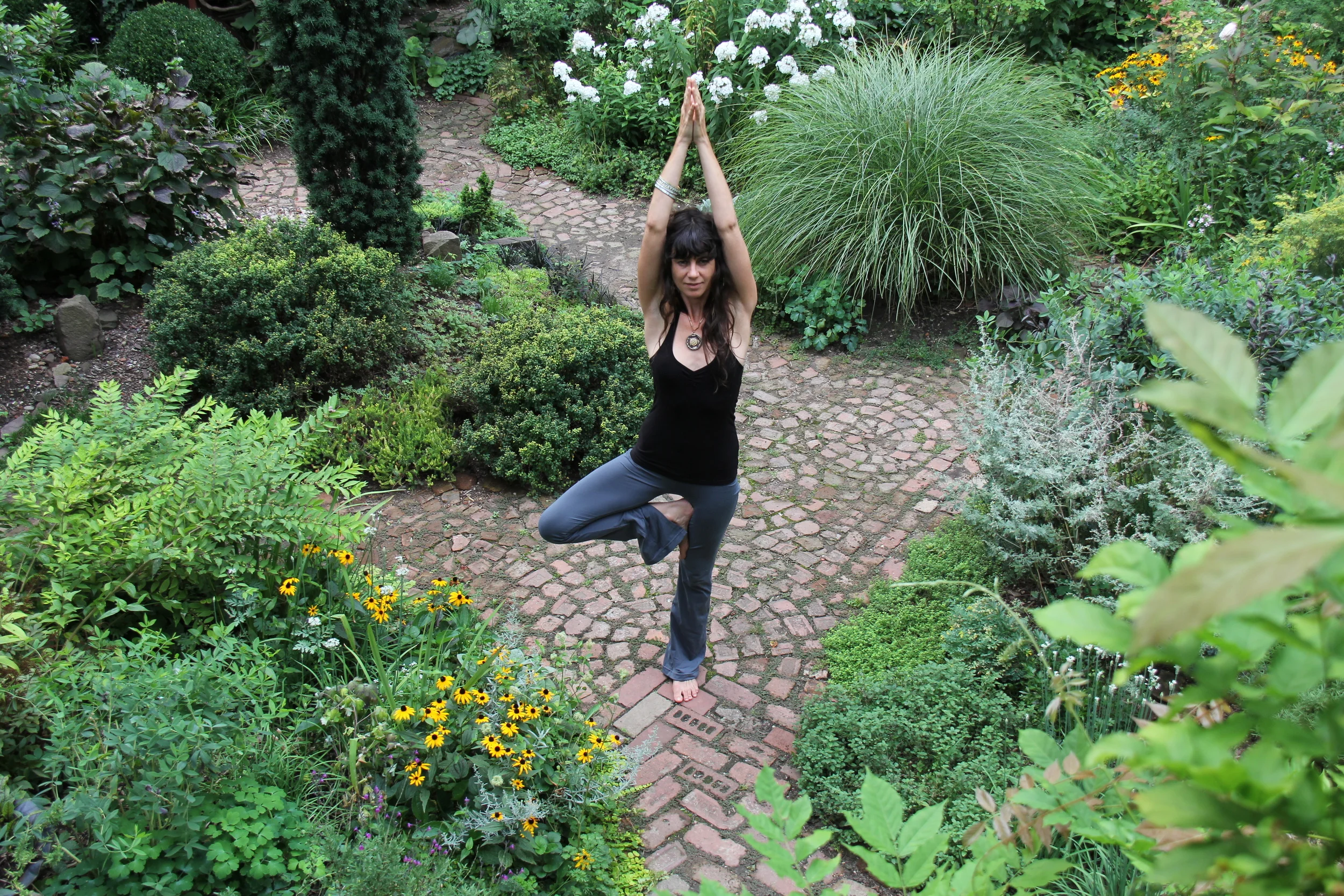 Yoga for Osteoporosis Webinar with Dr Loren Fishman
