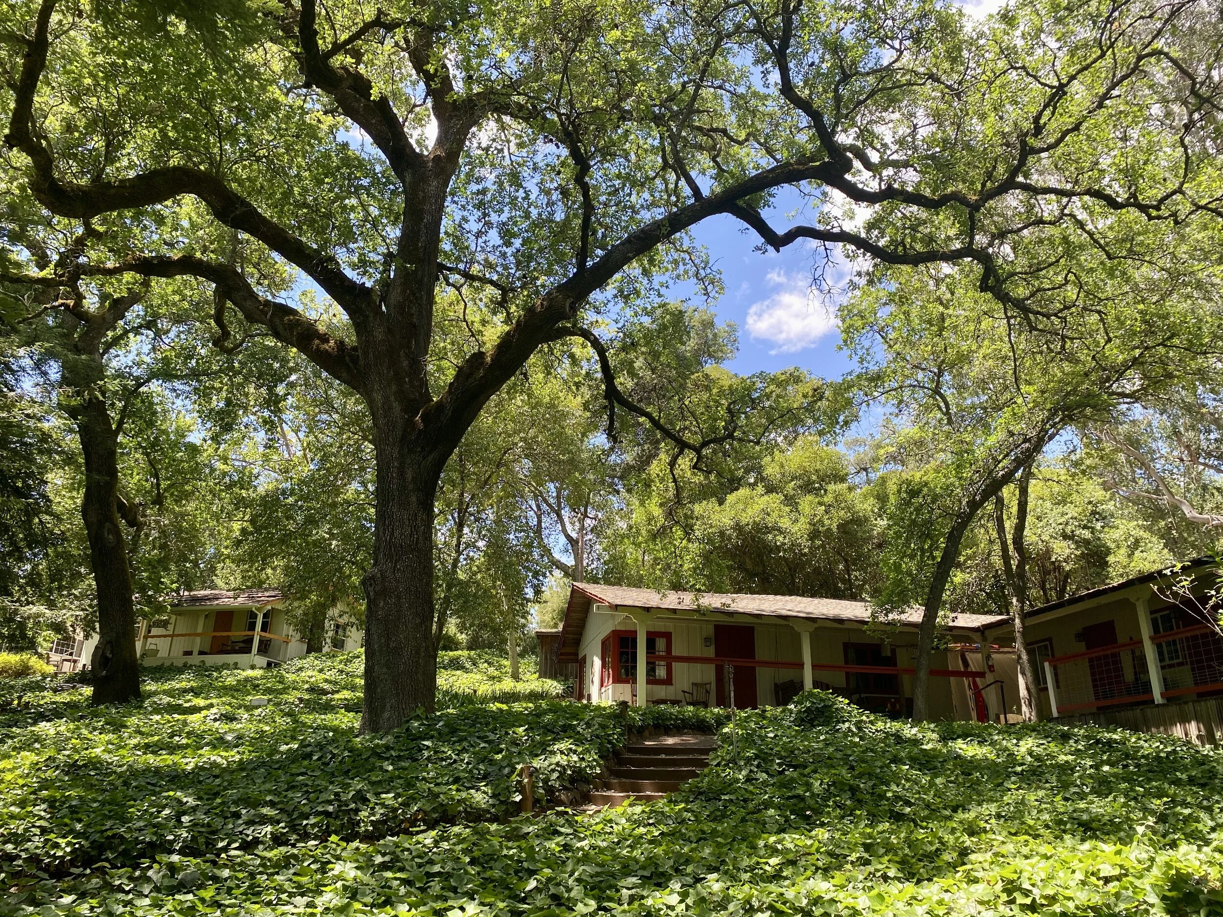 SUMMER IN SONOMA: A CORE + YOGA POOLSIDE RETREAT
