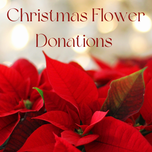 Christmas &amp; Flower Donations