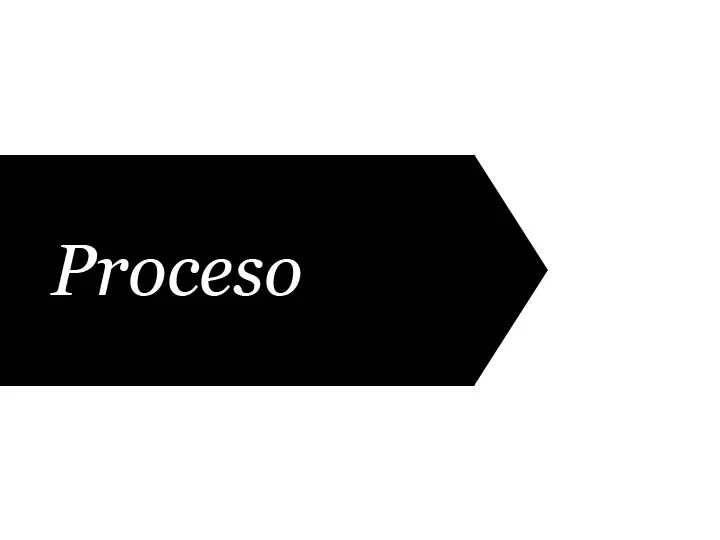 CARTELAS PROCESO.jpg