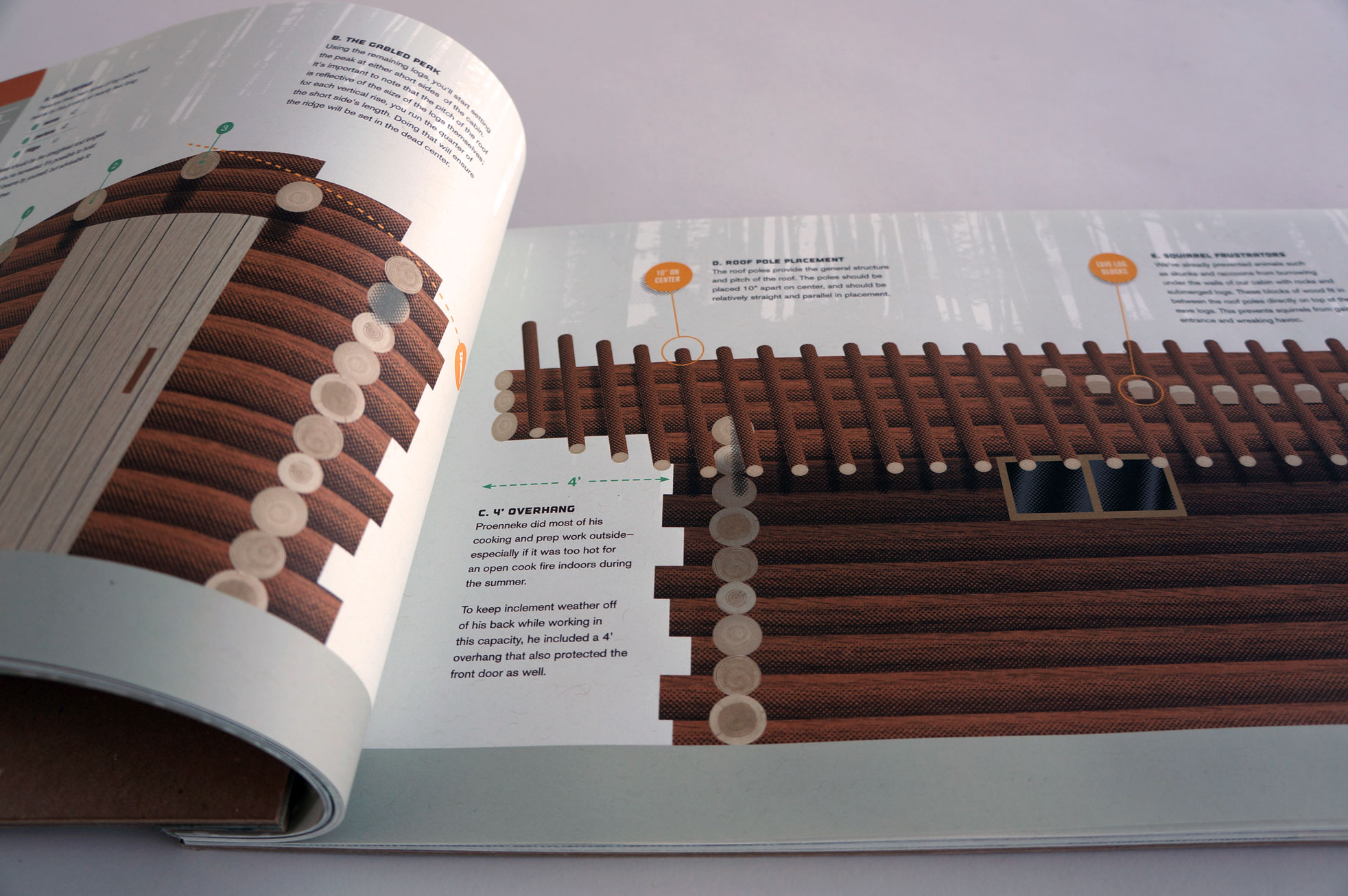 DP_book_spread4.jpg