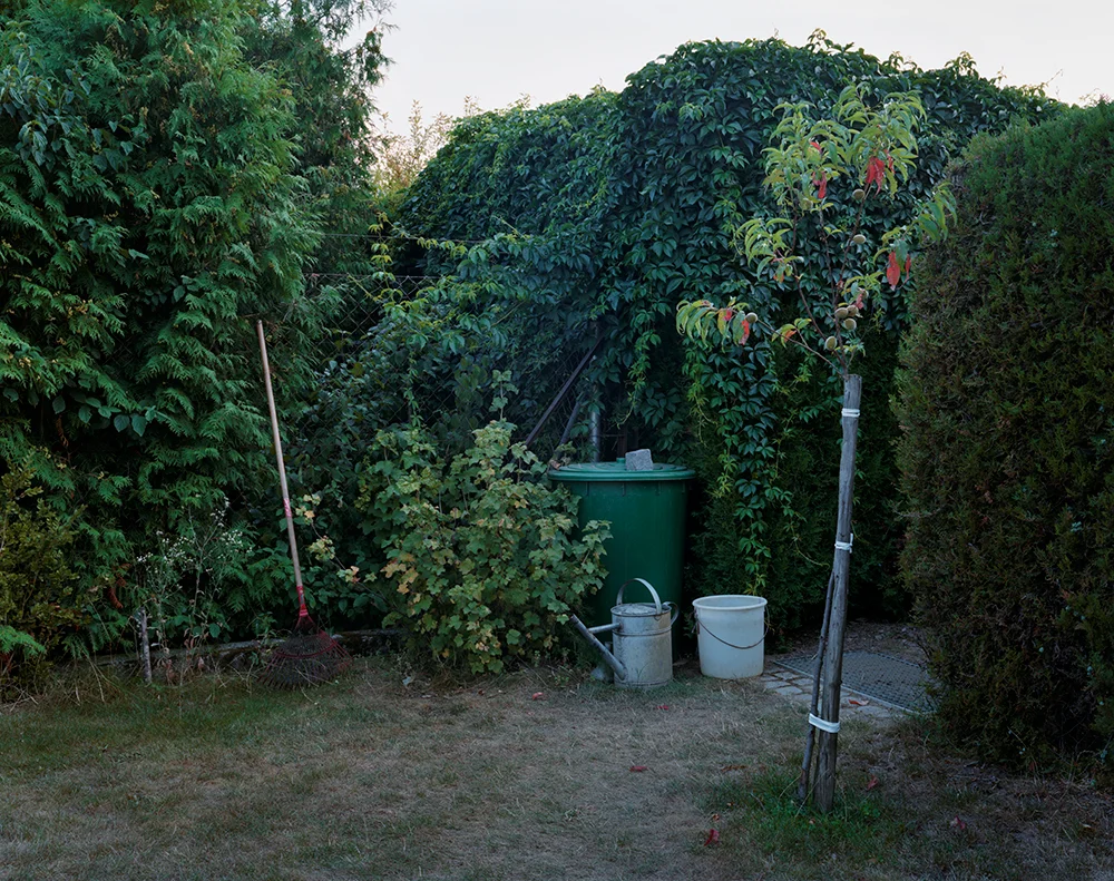 garden