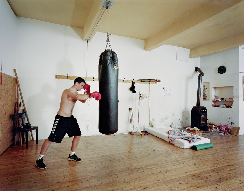 boxer