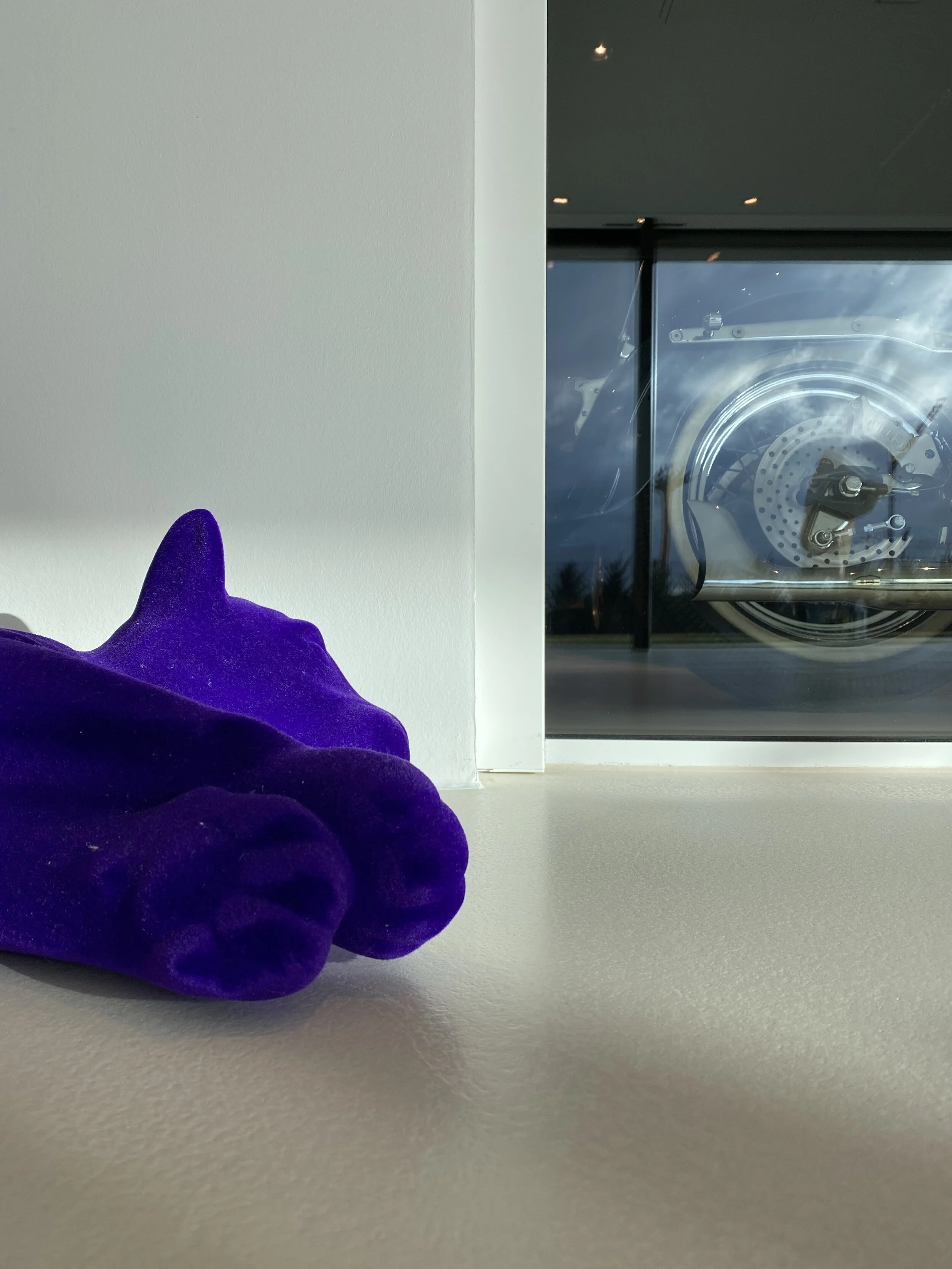 the purple lion