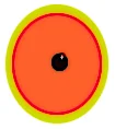 CY_EYE.jpg
