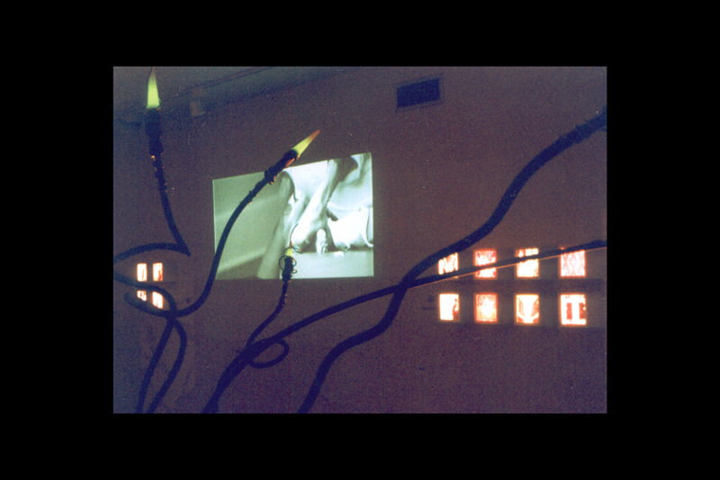 iNSIDE>OUTSIDE (installation view/Parthenon Museum, Nashville, TN), DDDD, 2000. In background, lightboxes by PJM and projection video by Brent Stewart.