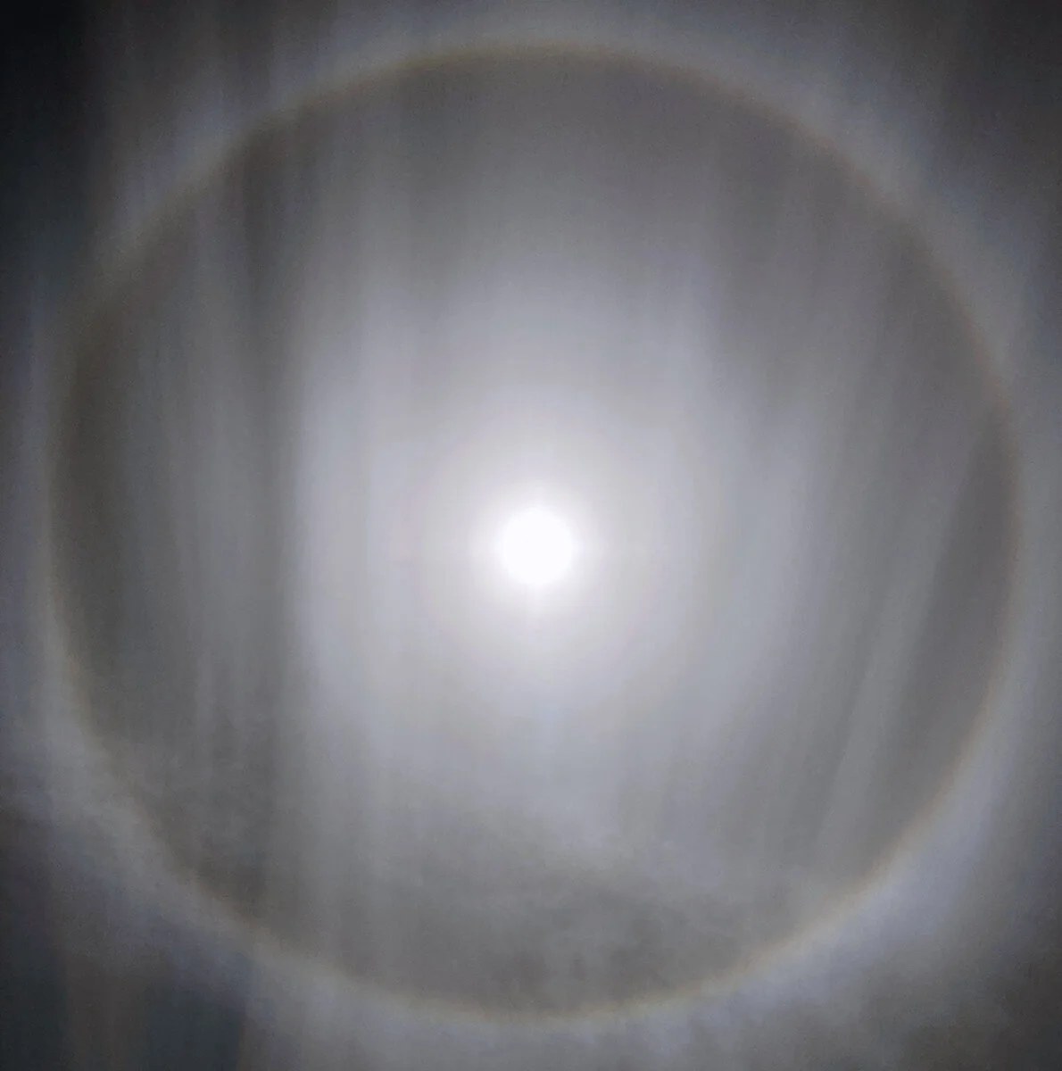 Sunbow 2020 (Photo: PJM)
