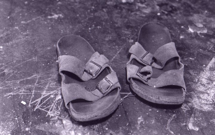 chipshoesjpg_3198975410_o.jpg