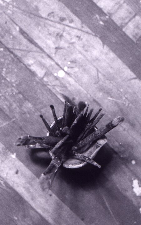 paintbrushesfloorjpg_3198130761_o.jpg