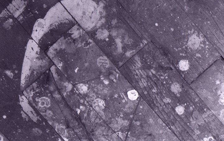 paintedfloorjpg_3198130867_o.jpg