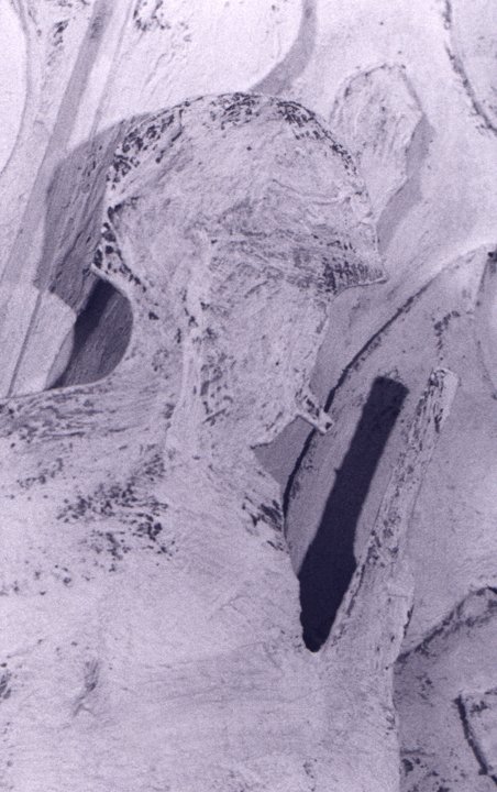 substratesoldierjpg_3198132557_o.jpg