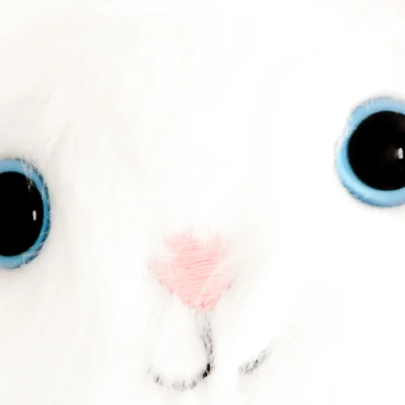 CatFaceCloseUse.jpg