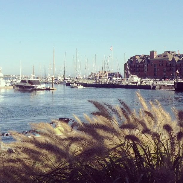 Harbor.jpg