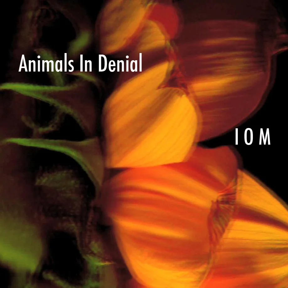 IOM-SINGLE-COVER.jpg
