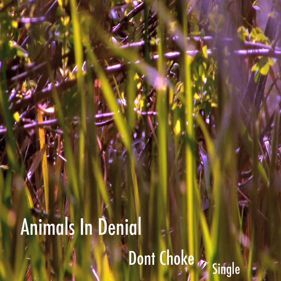 dont-choke-single-cover.jpg