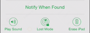 Find My iPhone works on iPads, too.