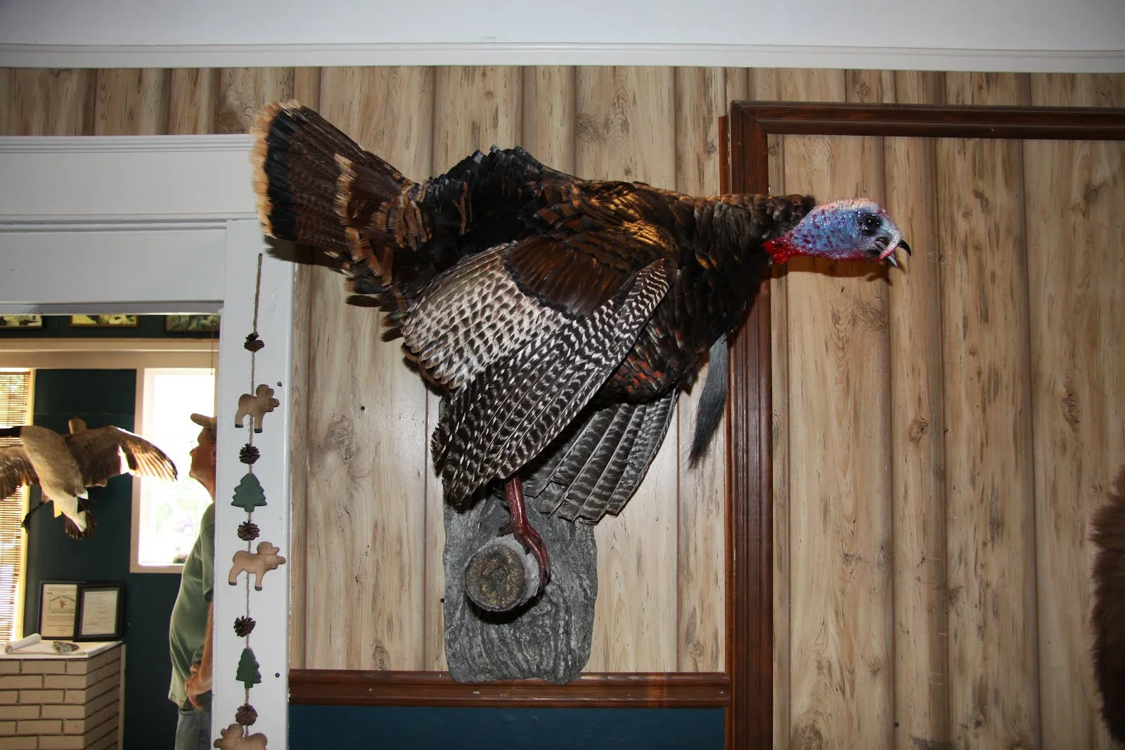 TURKEY — HICKS TAXIDERMY