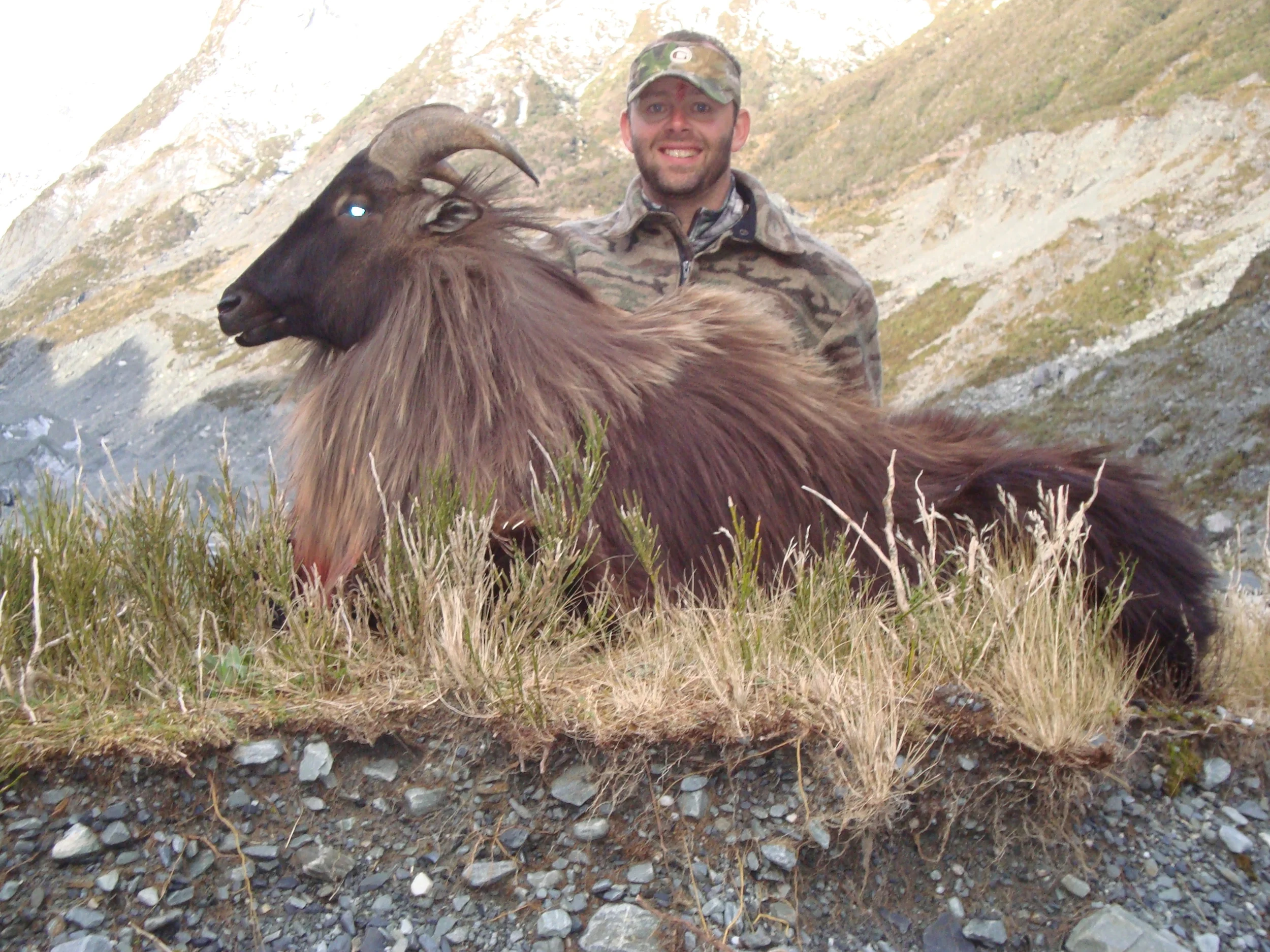 NEW ZEALAND HUNTING TRIPS — HICKS TAXIDERMY