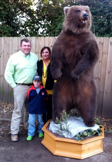 Standing Grizzly Bear Next To Human
