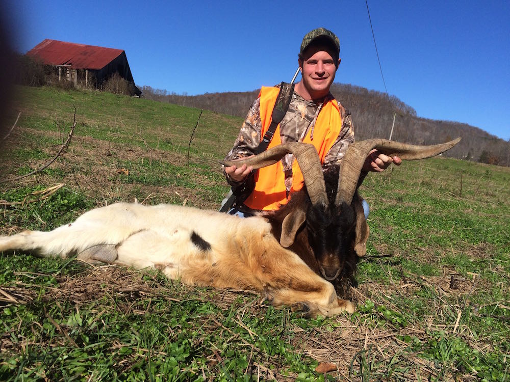 Billy Riddle with striking Spanish Goat!