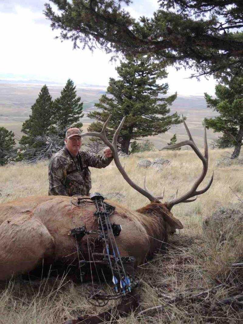 Marty Lawley Elk3.JPG