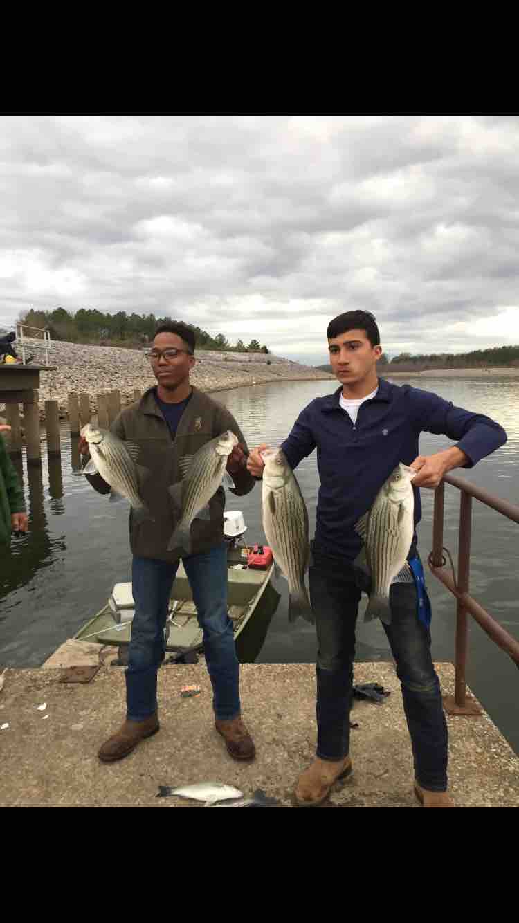 DeShun & Aaron Galea w:stripers.png