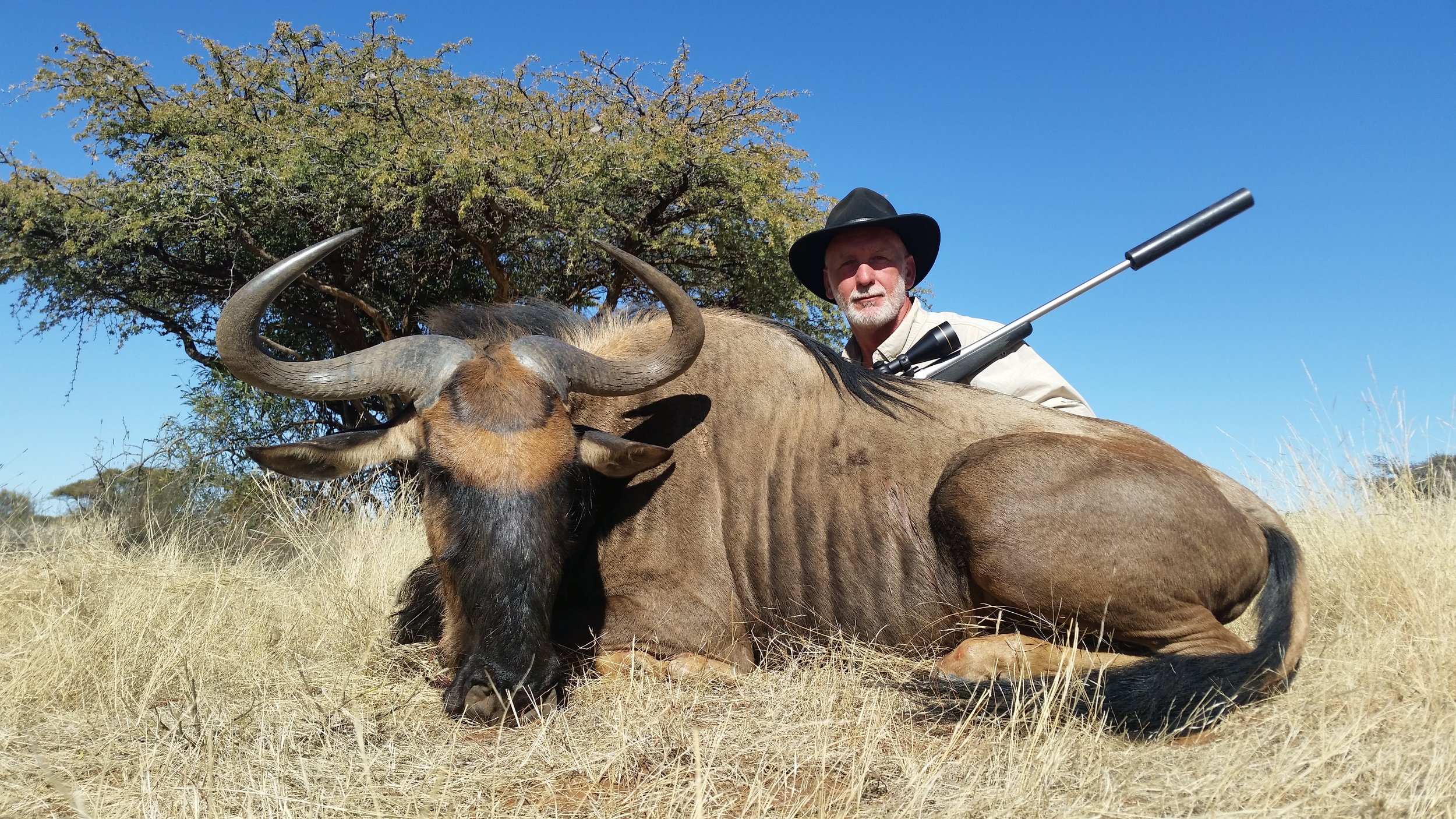 Carl's Wildebeest.jpg