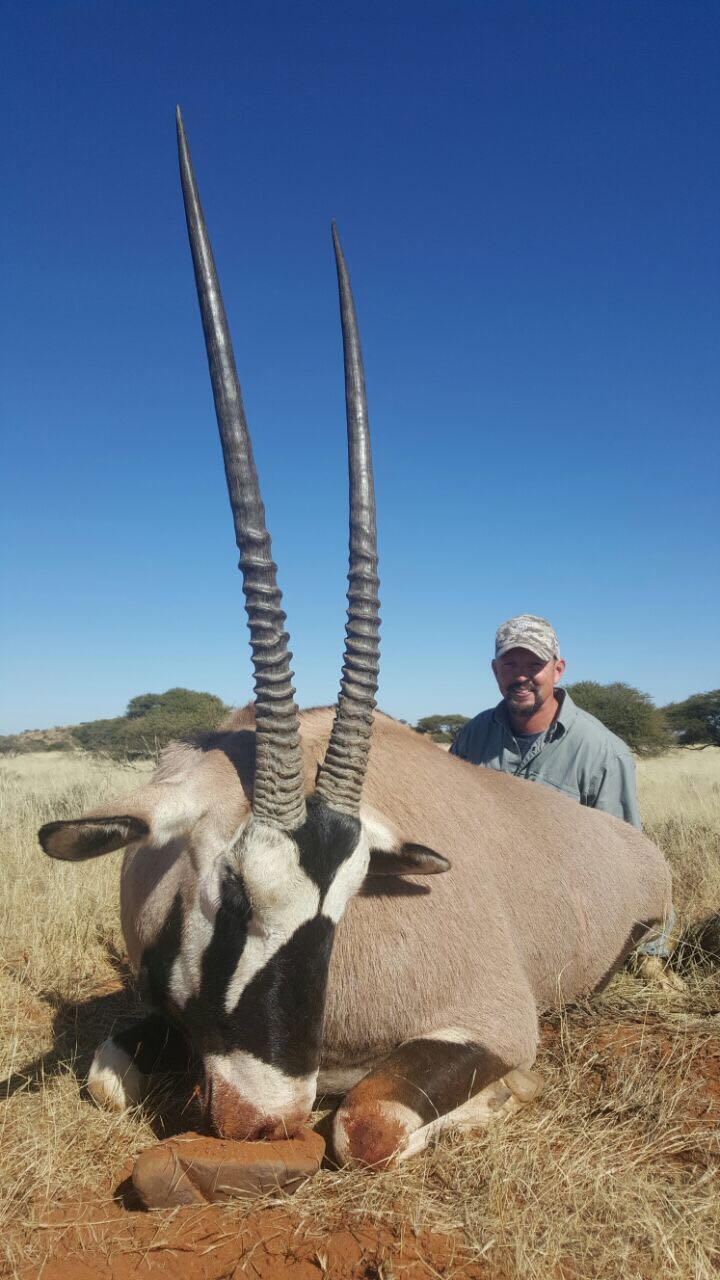 Chad Gilliland Gemsbok.JPG