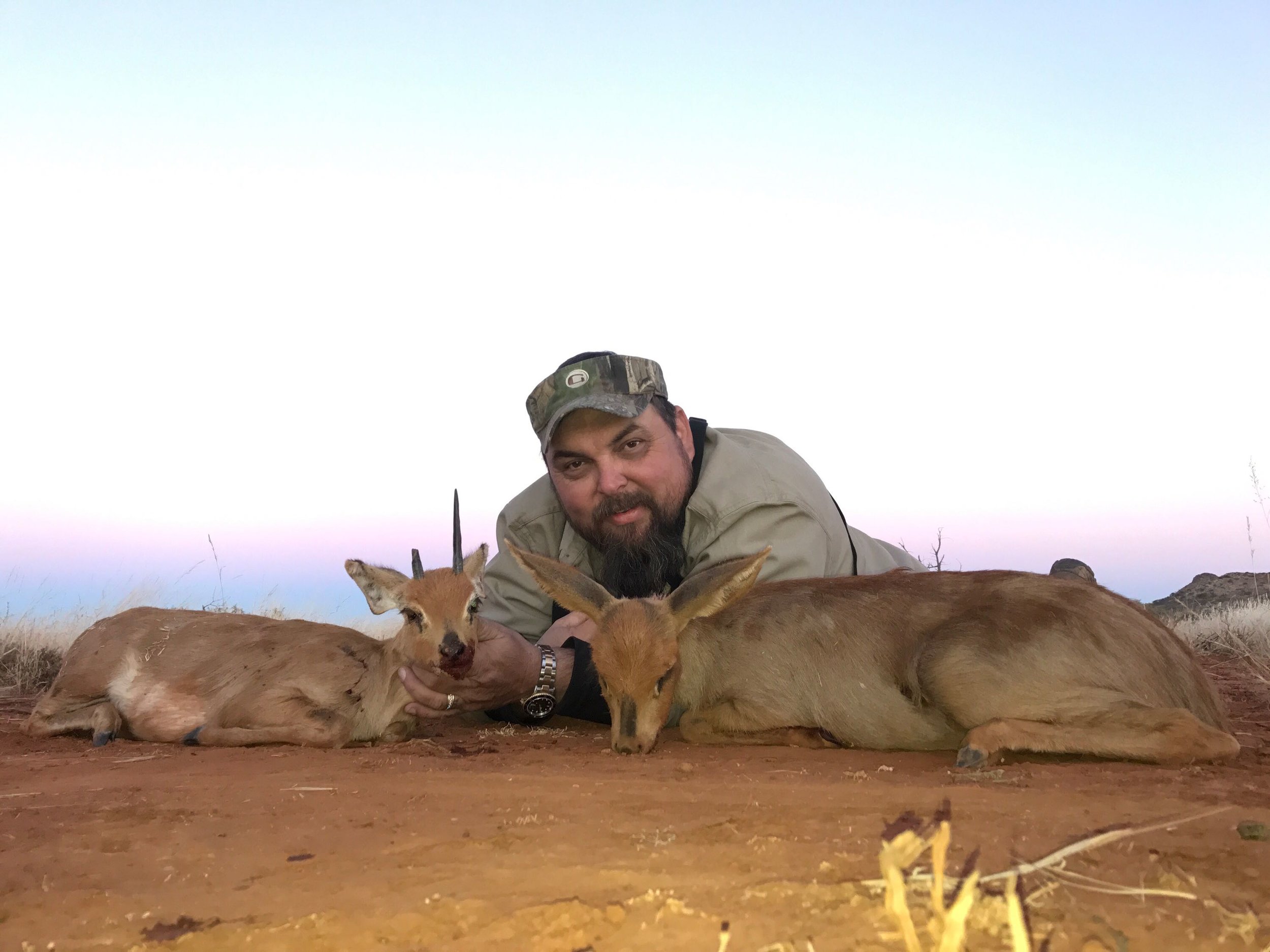 Jason's Steenbuck (male&female).JPG