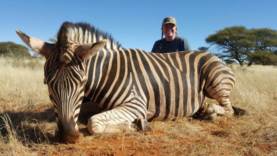 Danah Gilliland Zebra.jpg