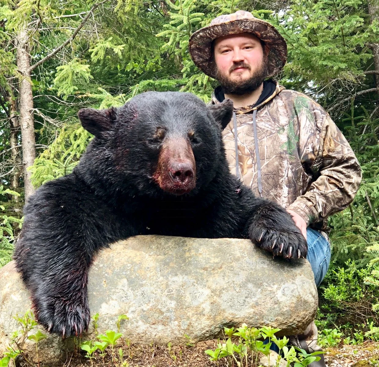 QUEBEC BEAR HUNT — HICKS TAXIDERMY