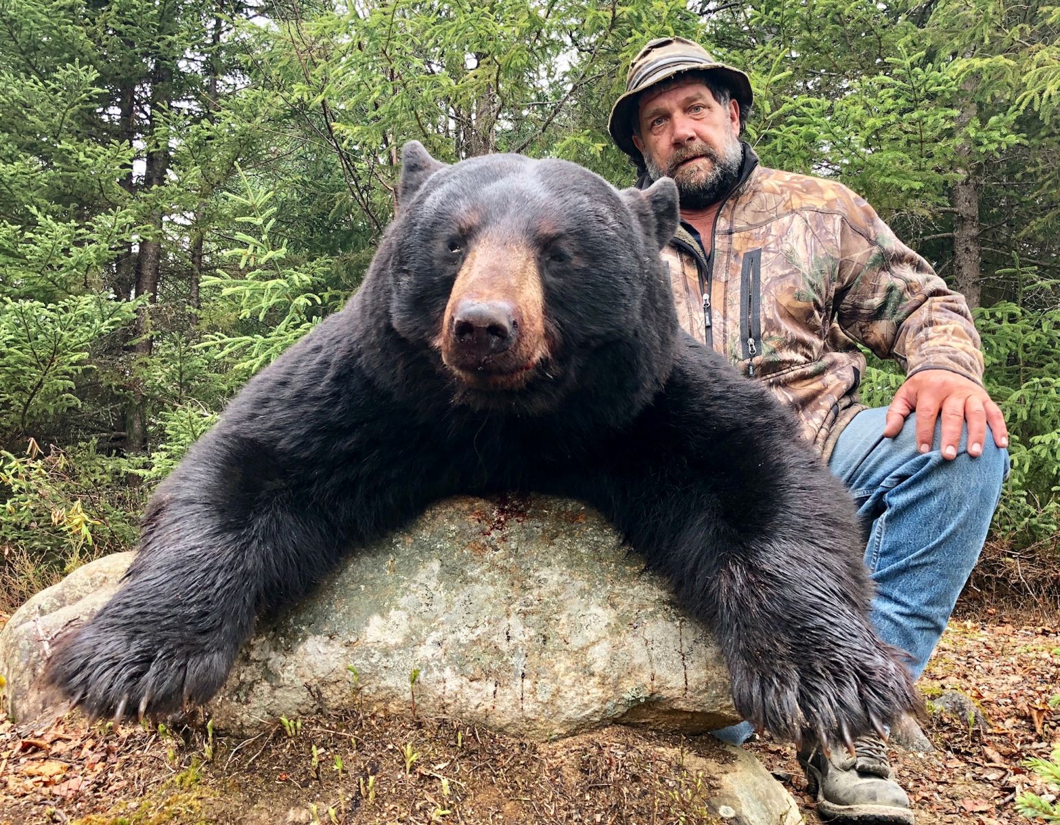 QUEBEC BEAR HUNT — HICKS TAXIDERMY