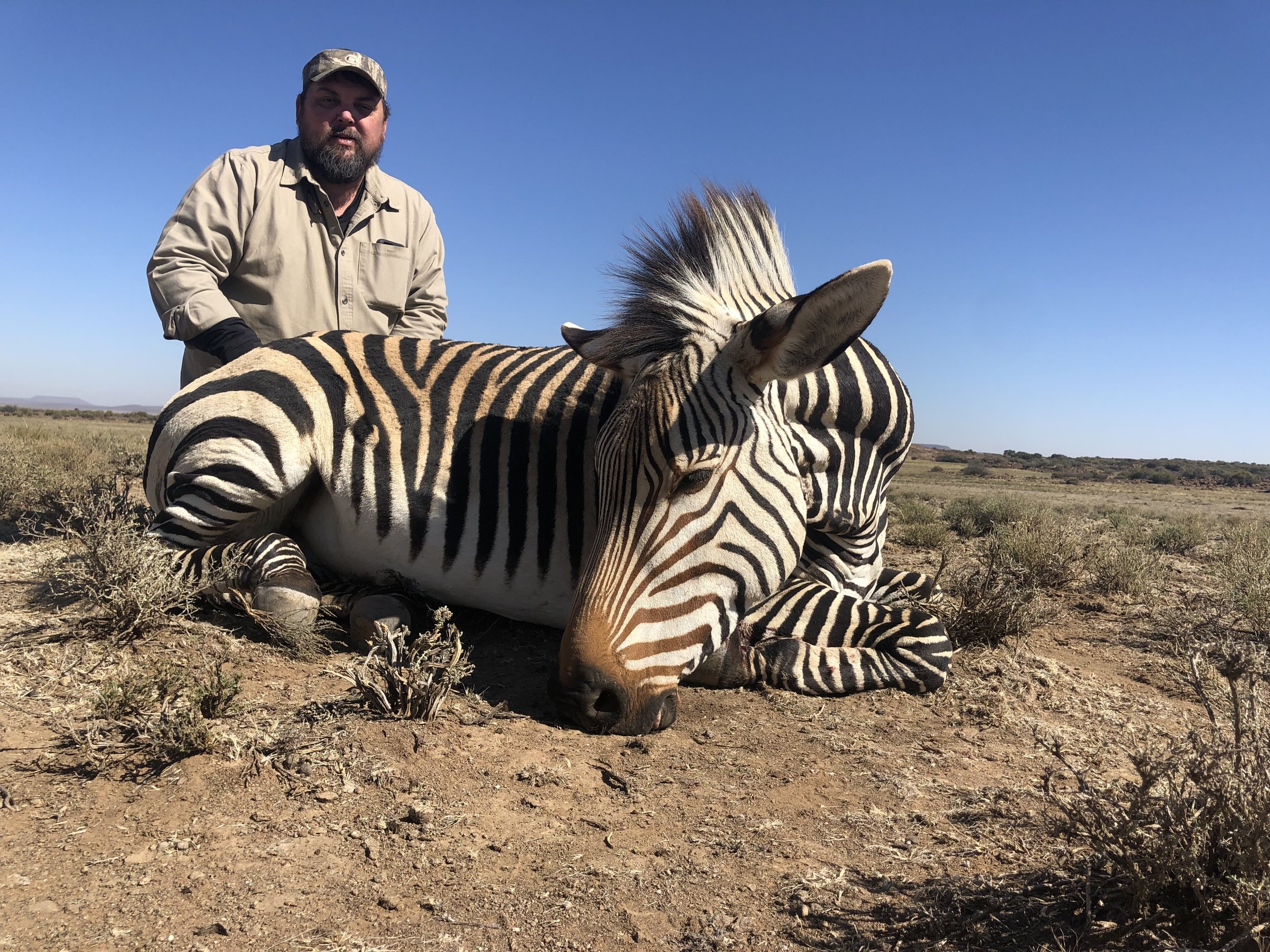 Jason Greene Zebra