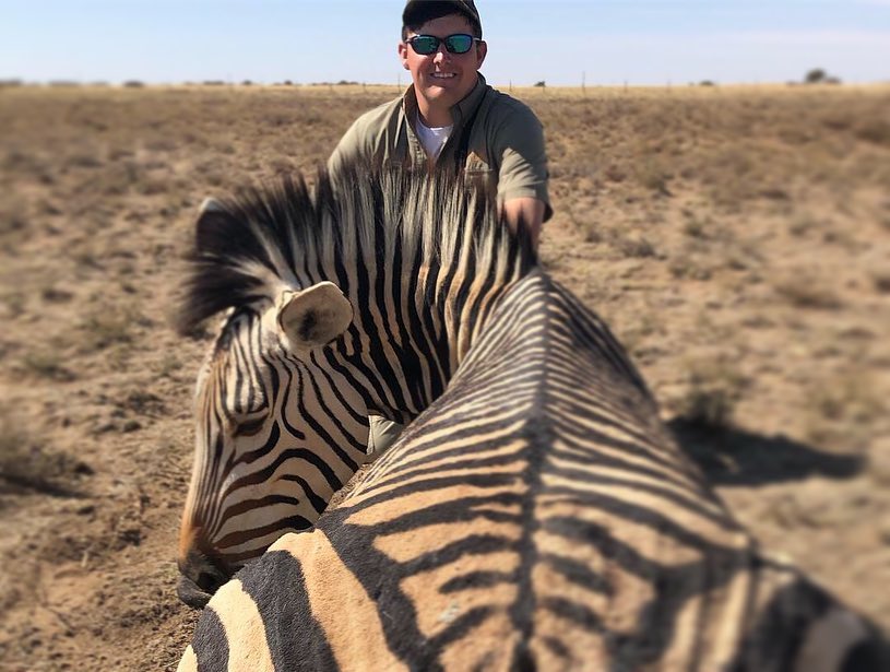 Colby Hamner Zebra