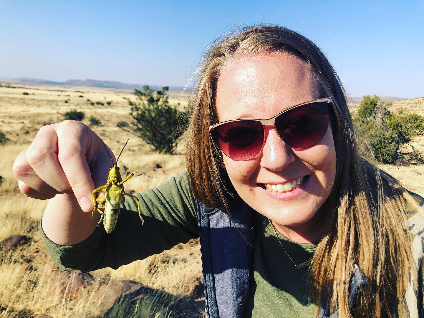 Hannah Hamner S.African Grasshopper!