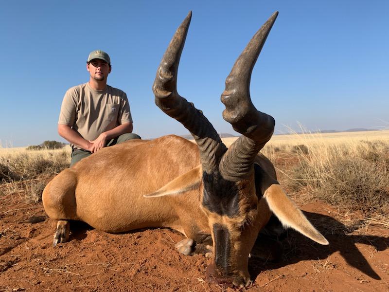 James Rogers Hartebeest