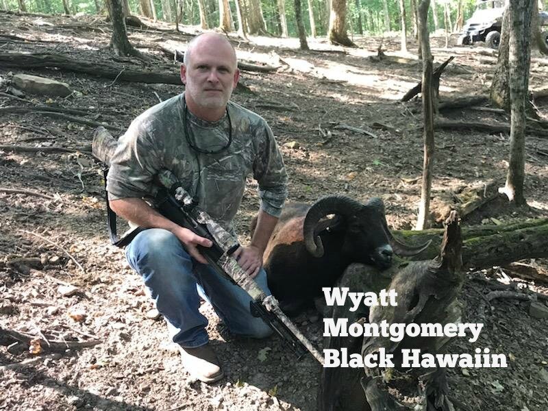 Black Hawaiin_Wyatt Montgomery_2.jpg