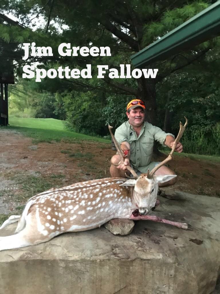 Spotted Fallow_Jim Green_2.jpg