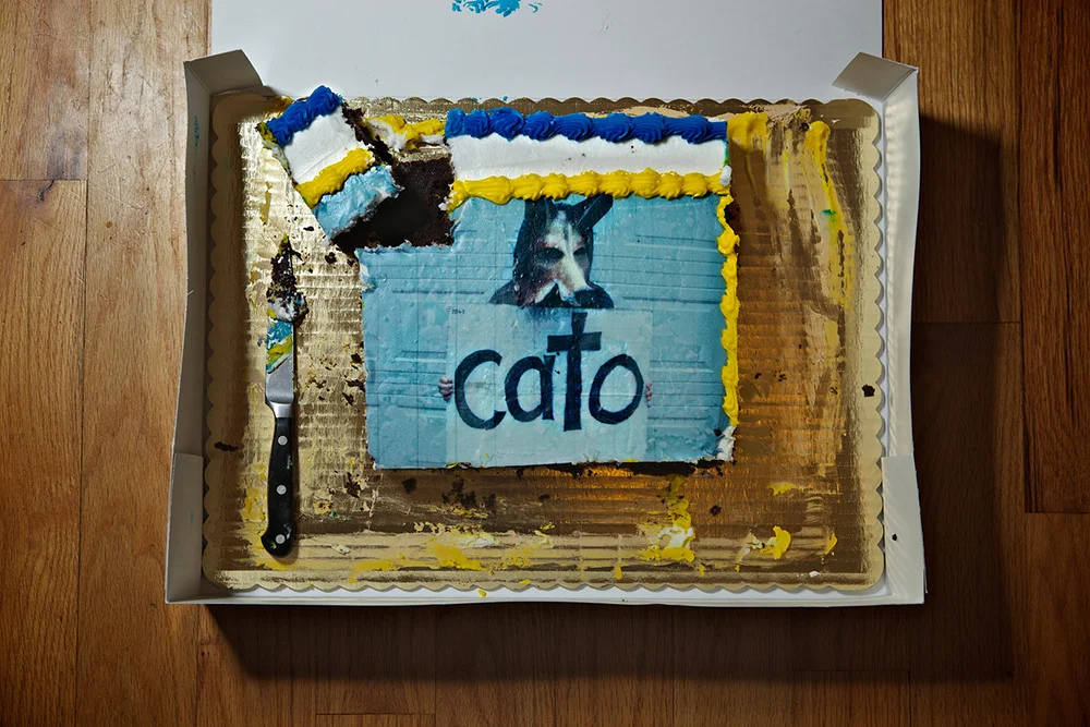 172-Coyote-Cake.jpg