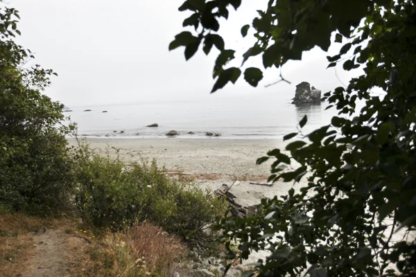 SalmonLoxBeachPicnic2.jpg
