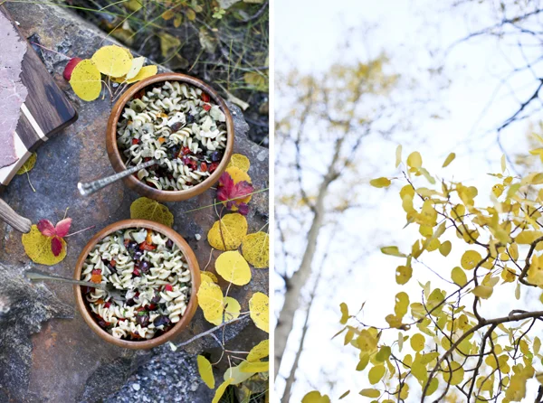 ColoradoFallPicnicPAstaRecipeFoodBlog09.jpg