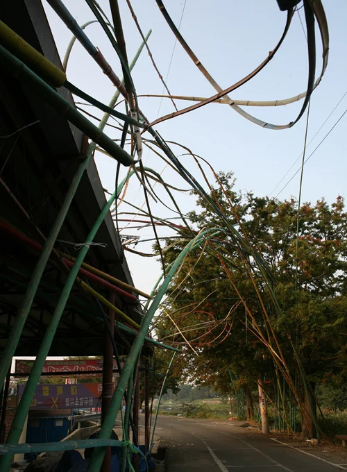 Damyang_04.jpg