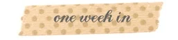 one week.jpg