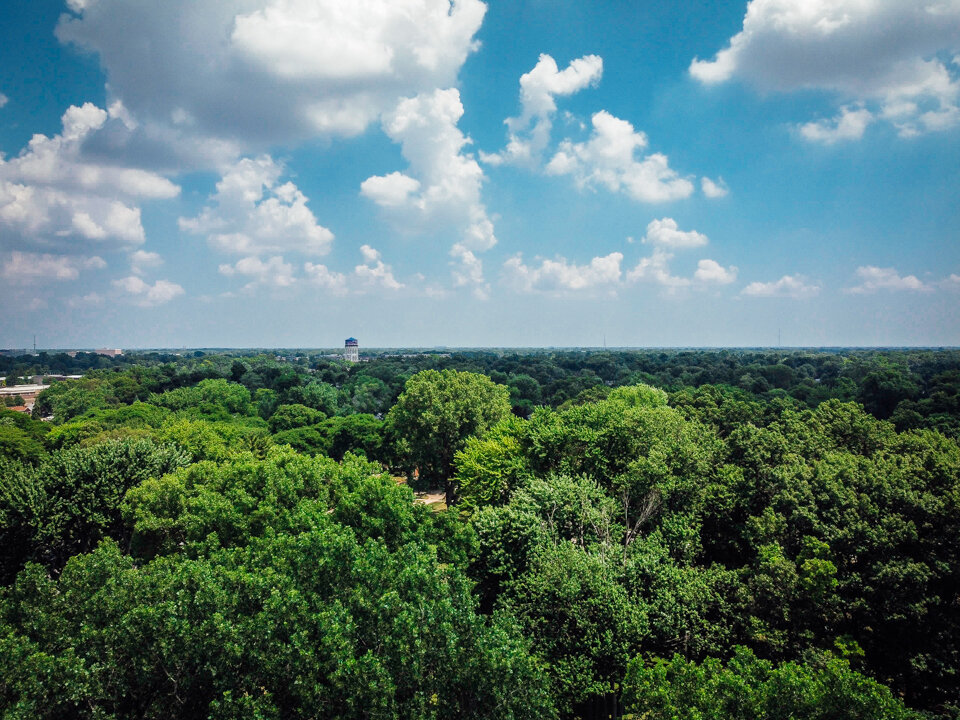 DJI_0115.jpg