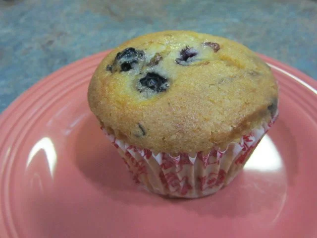 Blueberry Muffin