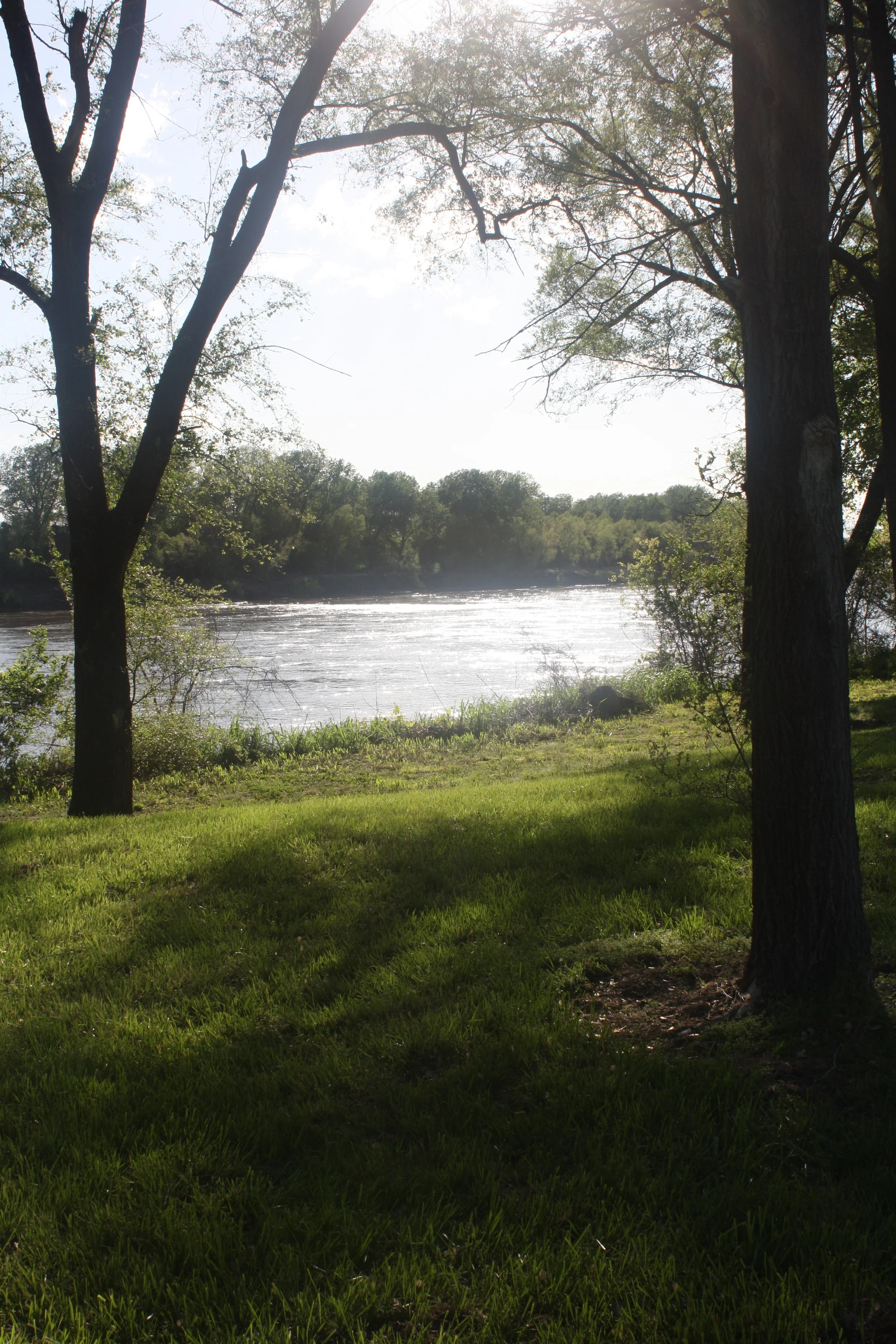 Another Day in Paradise........JPG