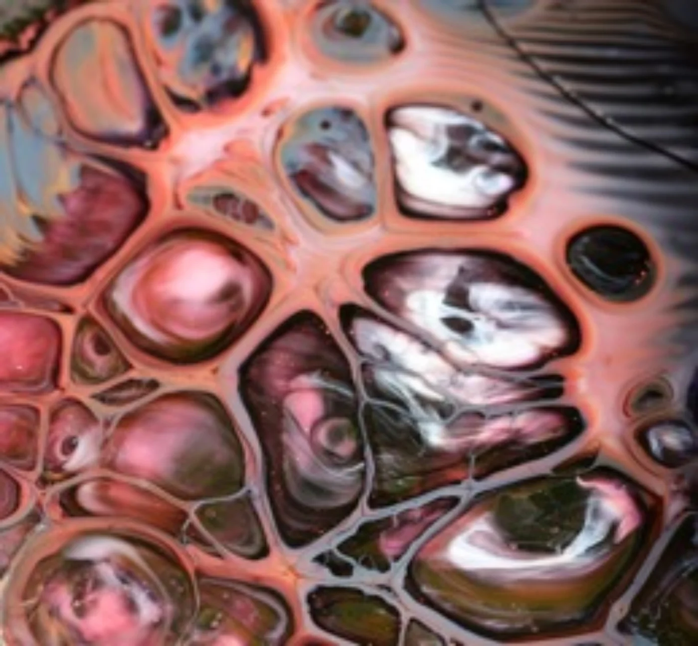 Magenta's Intellect.jpeg