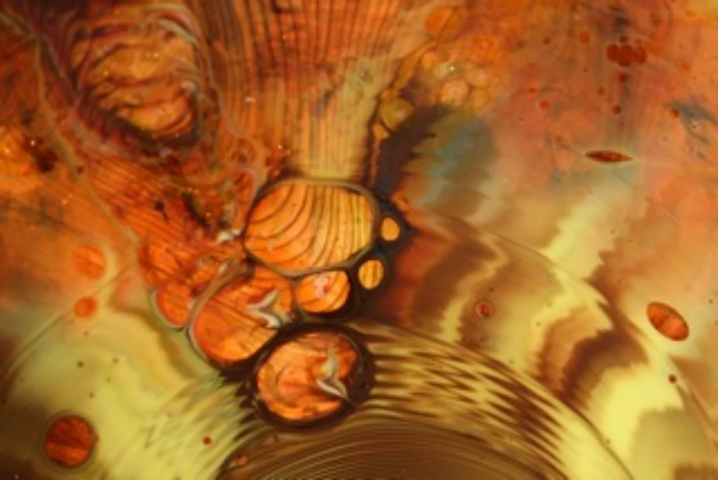 On a Cellular Level.jpeg