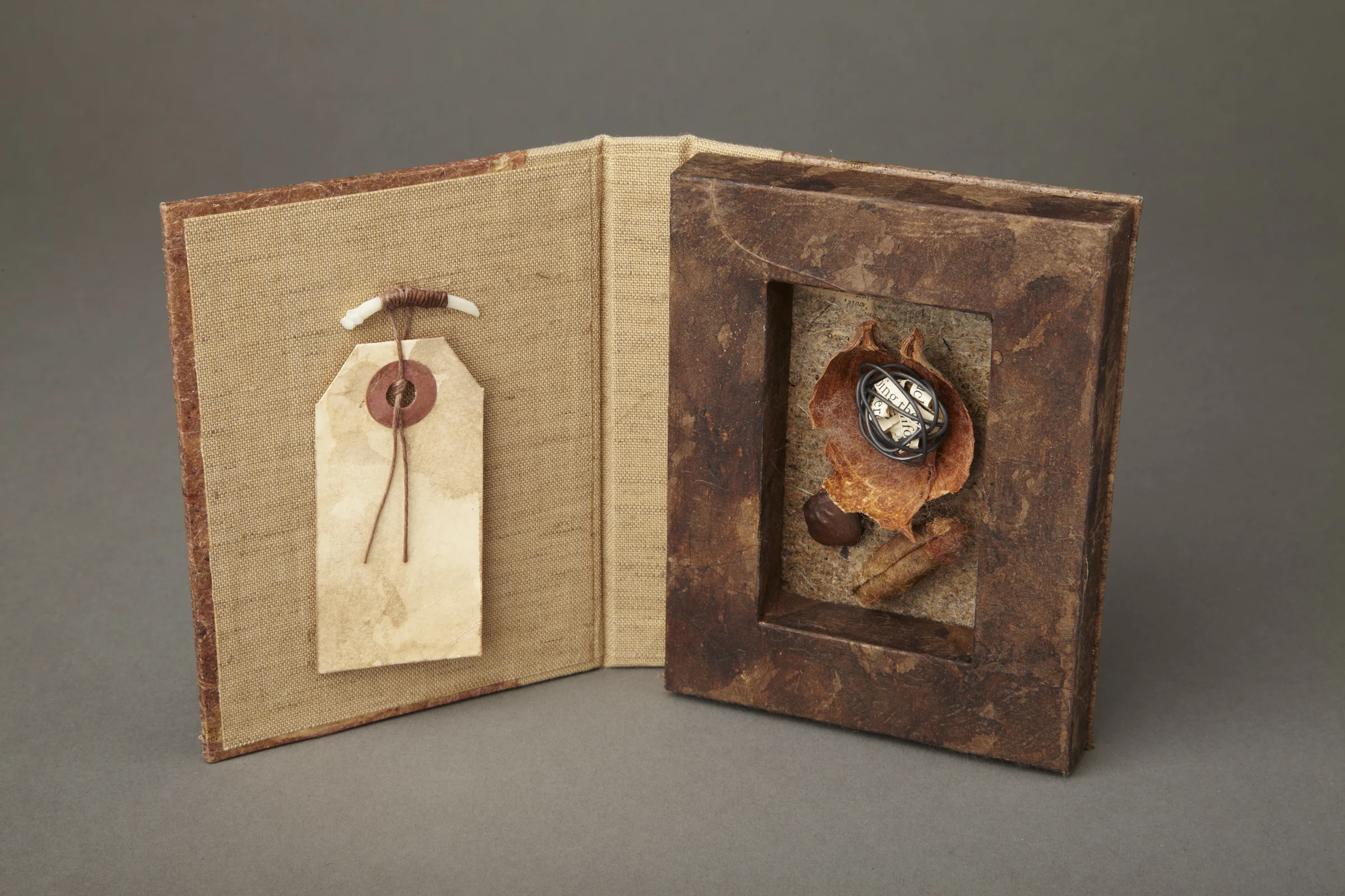 RA_Curiousity_Series3_4x5.5x1.jpg