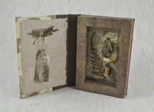 Specimen Series- metamorphosis four_web2.jpg